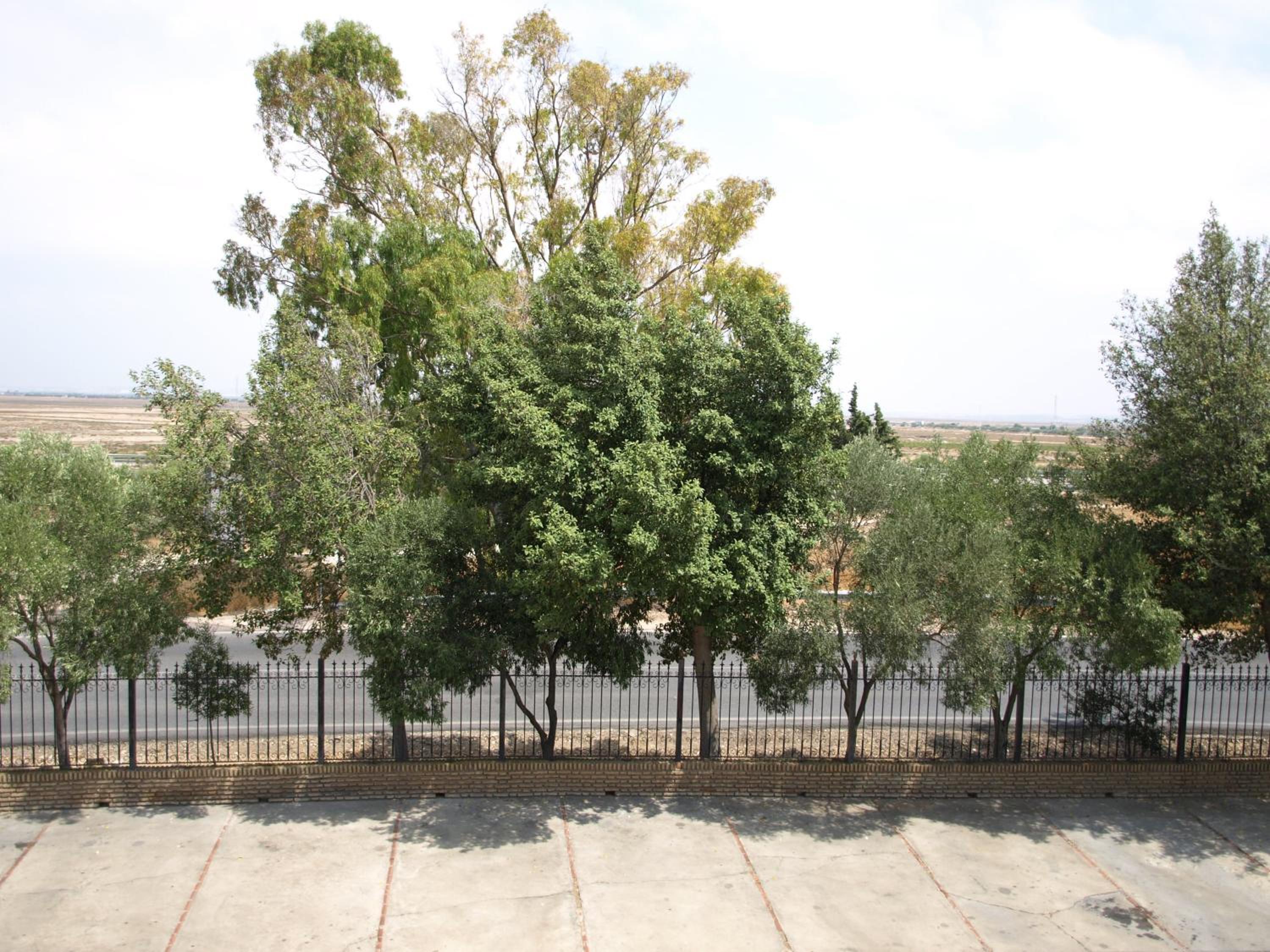 Hotel Caballo Negro 28/33