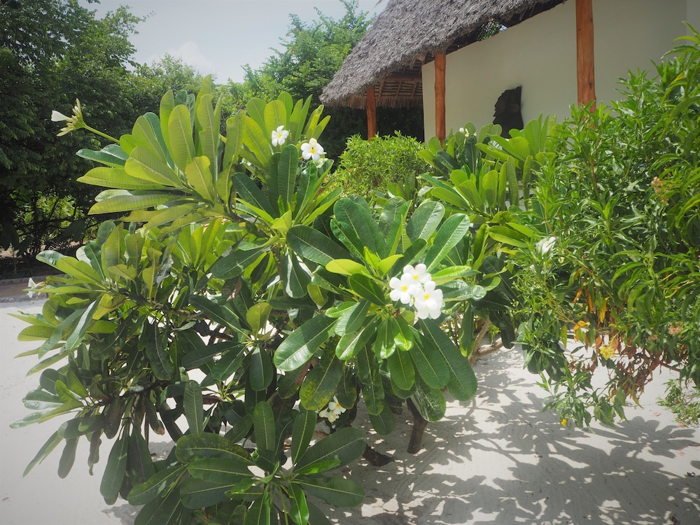 Tikitam Palms Boutique Hotel 43/50