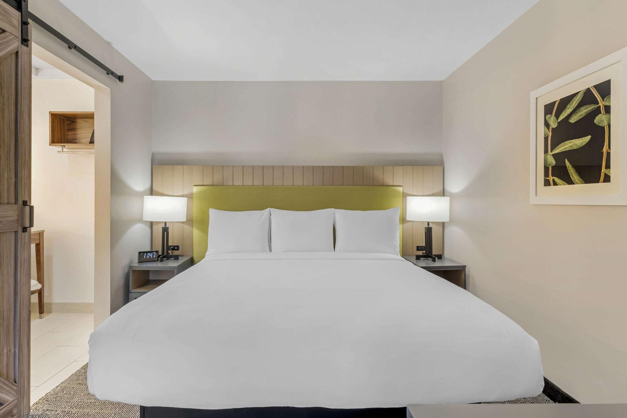 1 Bedroom, Suite