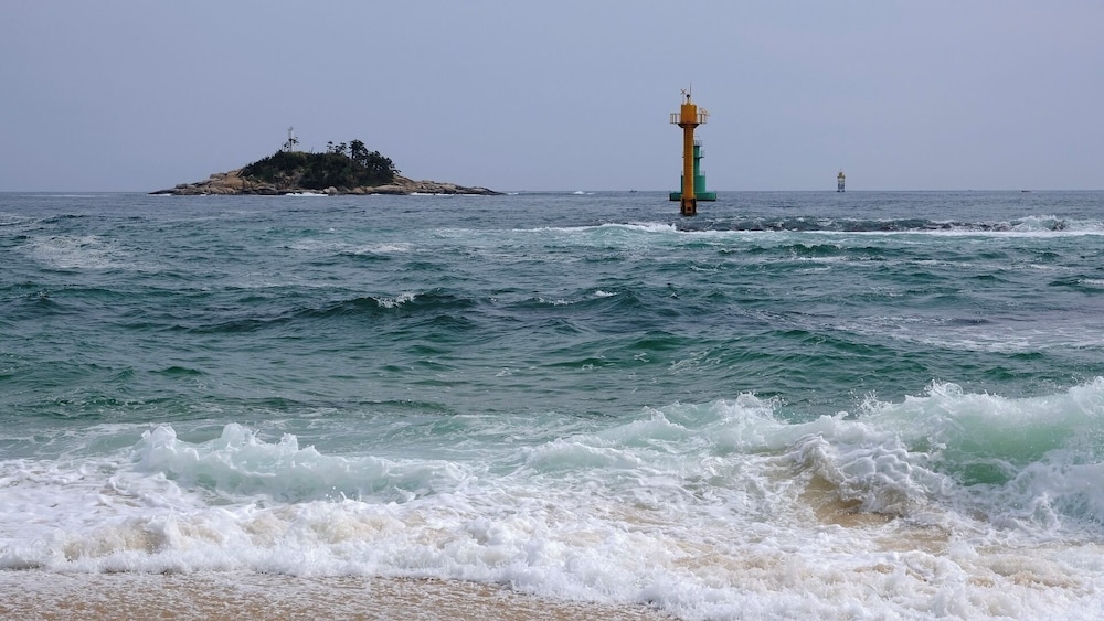 Cassia Sokcho 48/54