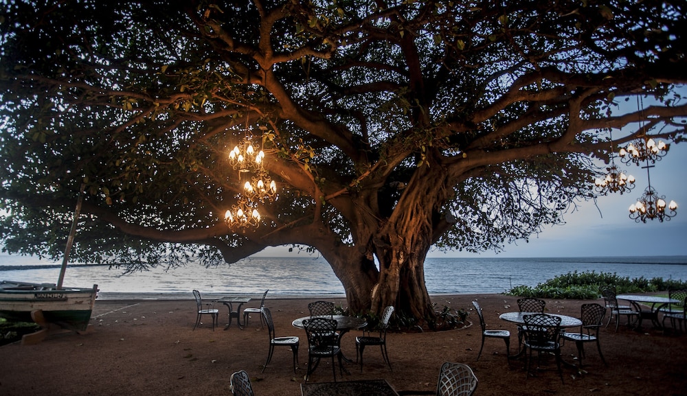 Southern Sun Maputo 44/50