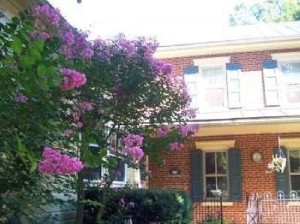 Fallen Tree Farm Bed & Breakfast 2/50