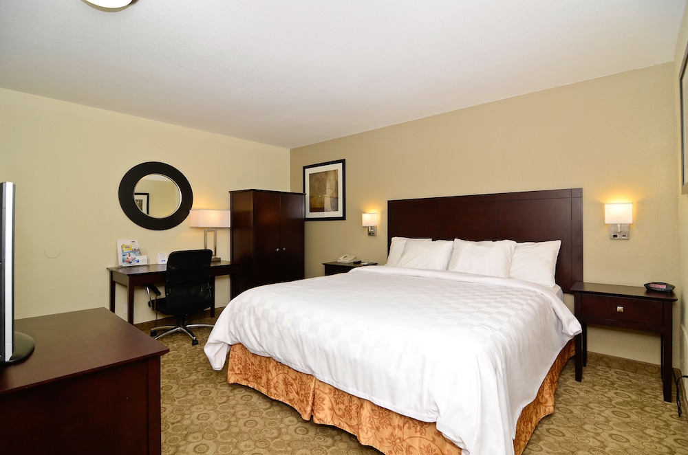 Rodeway Inn Convention Center 22/32