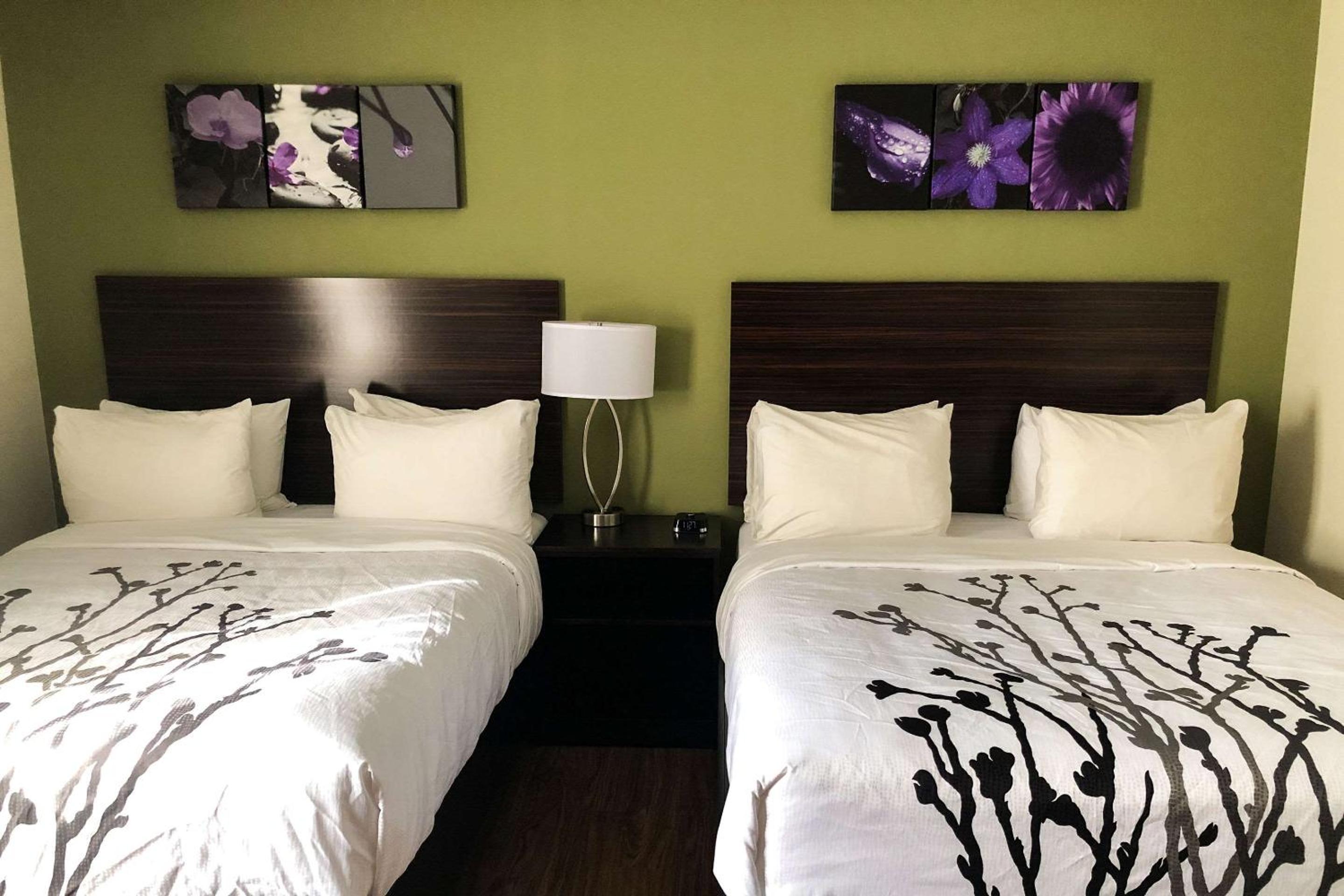 Upgrade, 2 Queen Beds