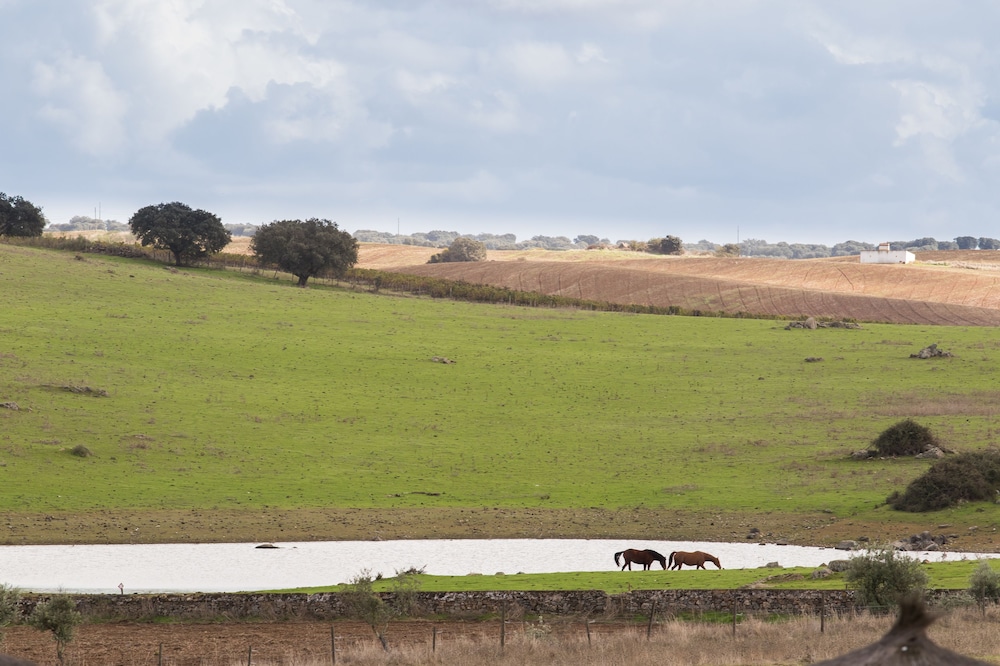 Rural Santo Antonio 46/53