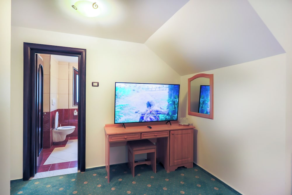 Hotel Casa Viorel 36/50
