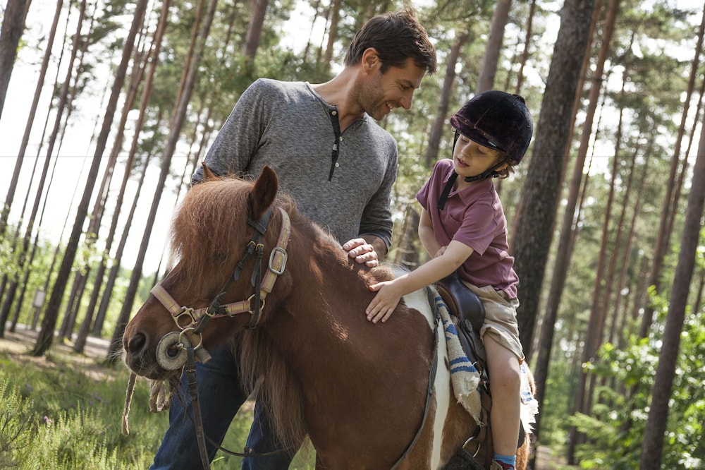 CENTER PARCS - LES HAUTS DE BRUYERES 6/45