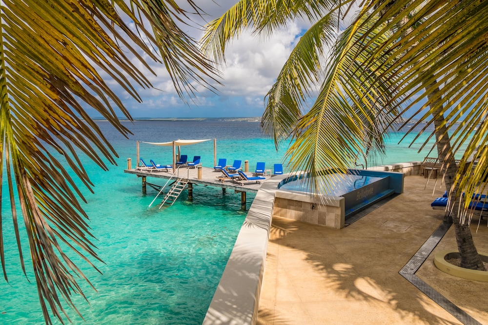 The Bellafonte - Luxury Oceanfront Hotel 37/50