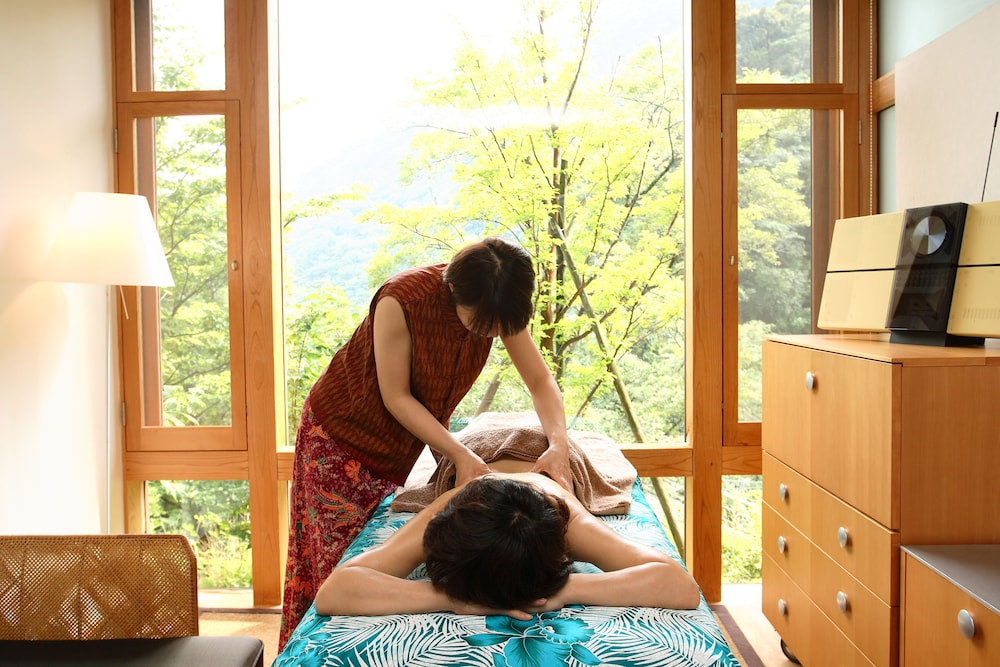 Auberge Tosayama 13/36