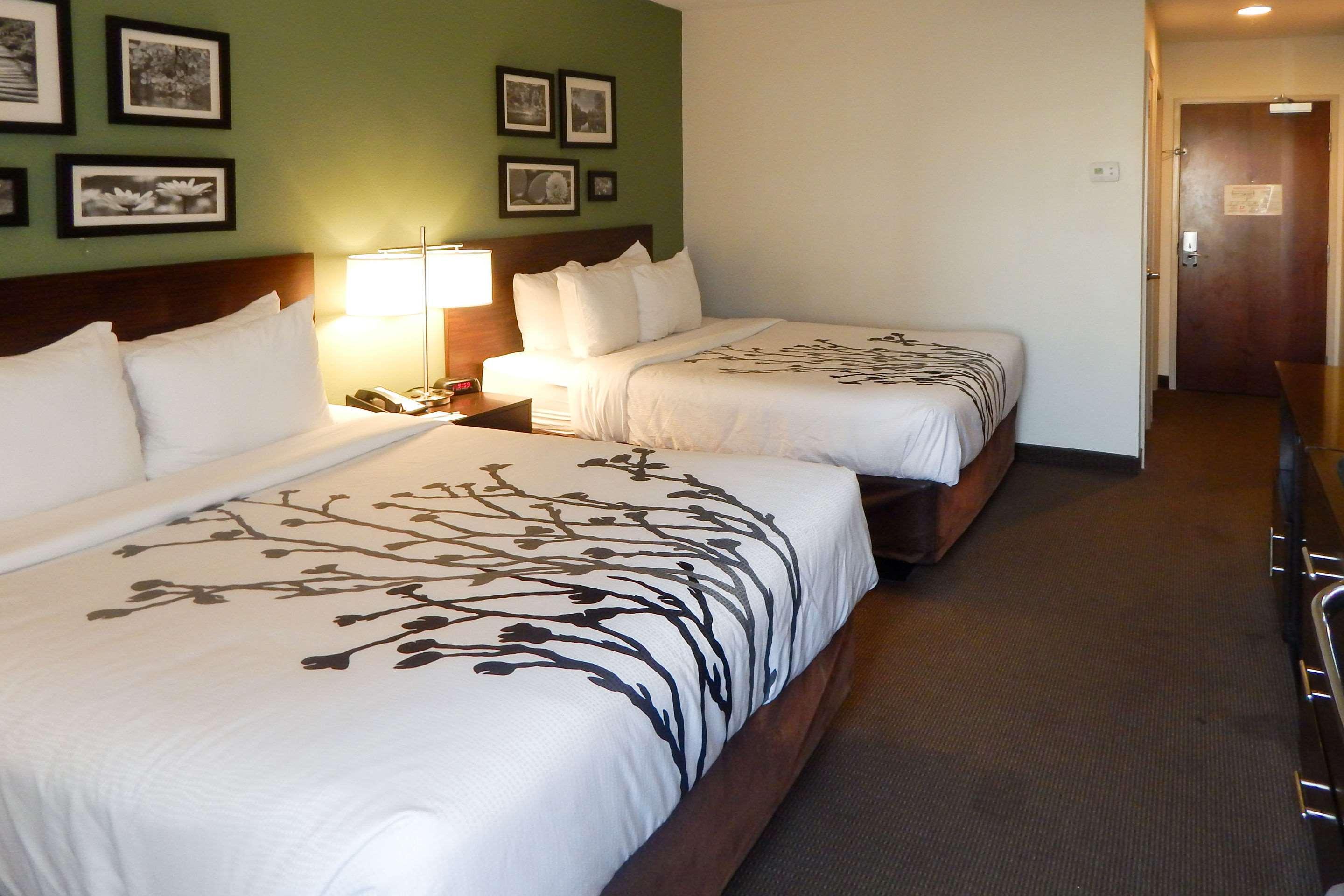 Room, 2 Queen Beds