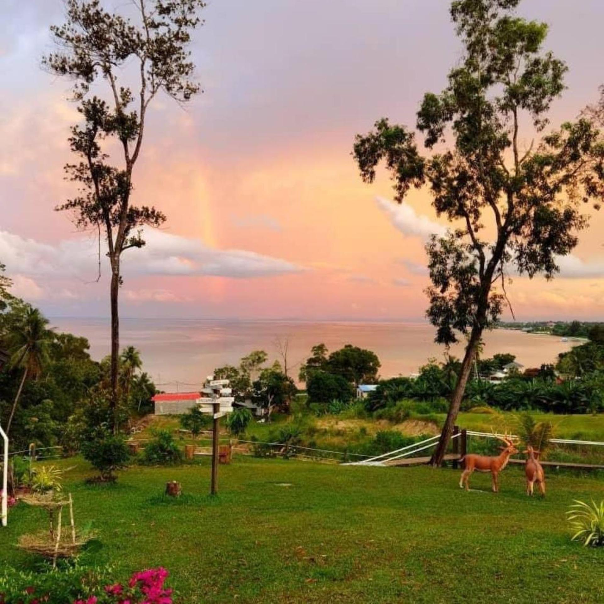 D View Holiday Home 31/46