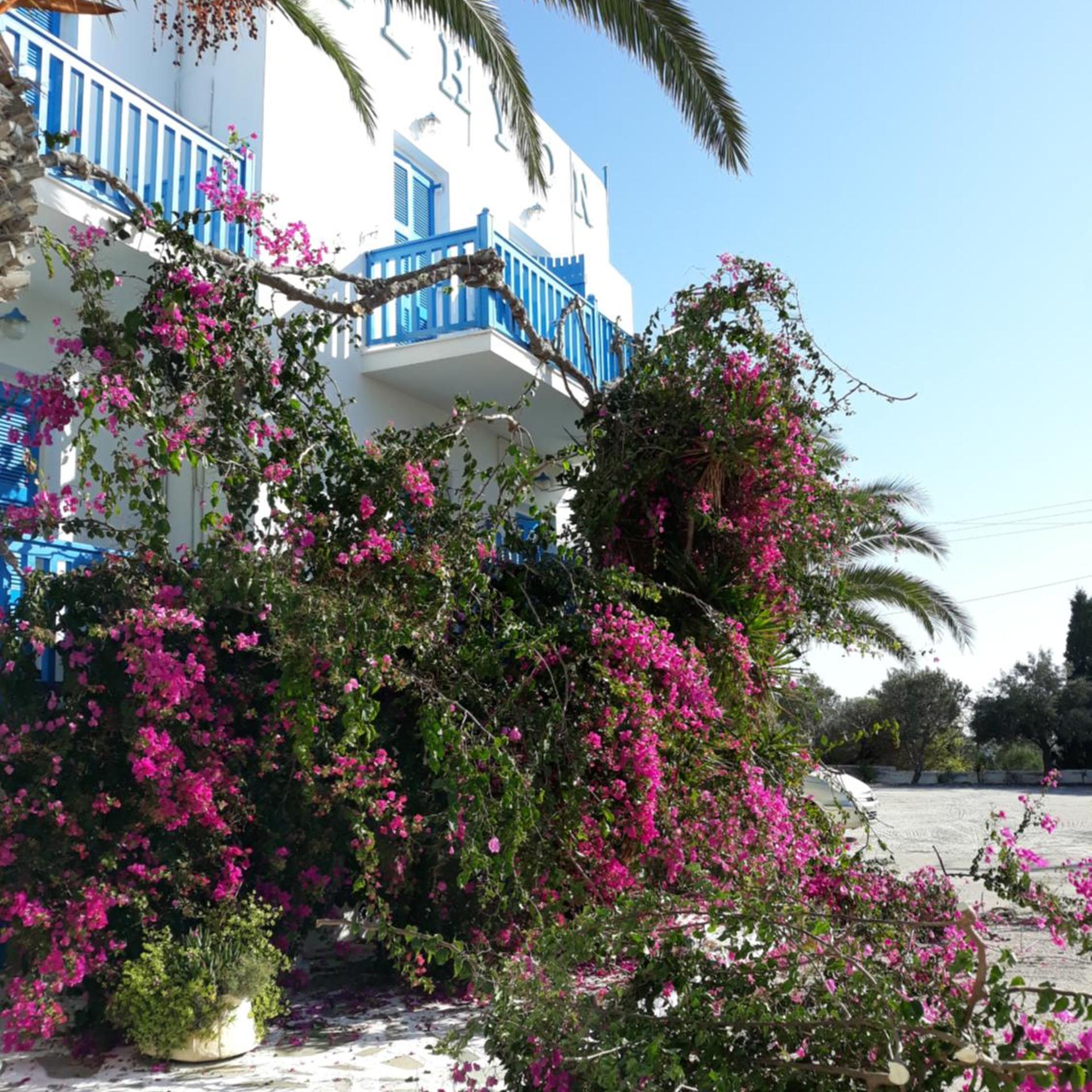 Alkyon Hotel 45/45