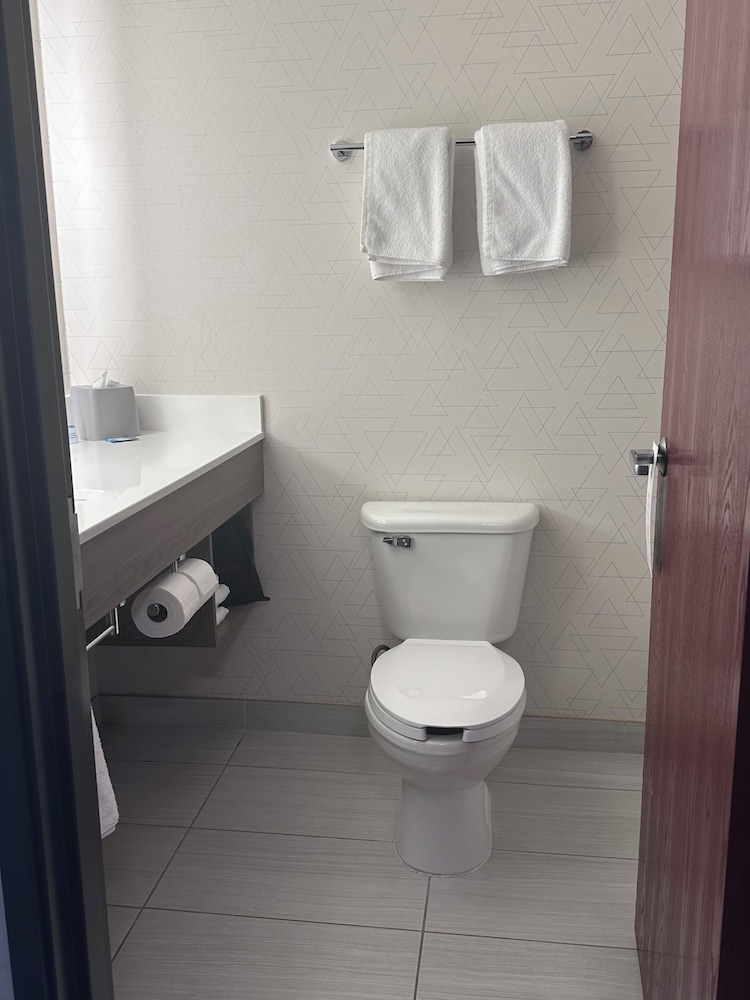 غرفة قياسية بسرير كينج، Holiday Inn Express & Suites Southfield - Detroit 2/4