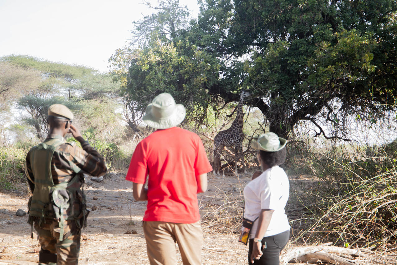 Kilaguni Serena Safari Lodge 47/50