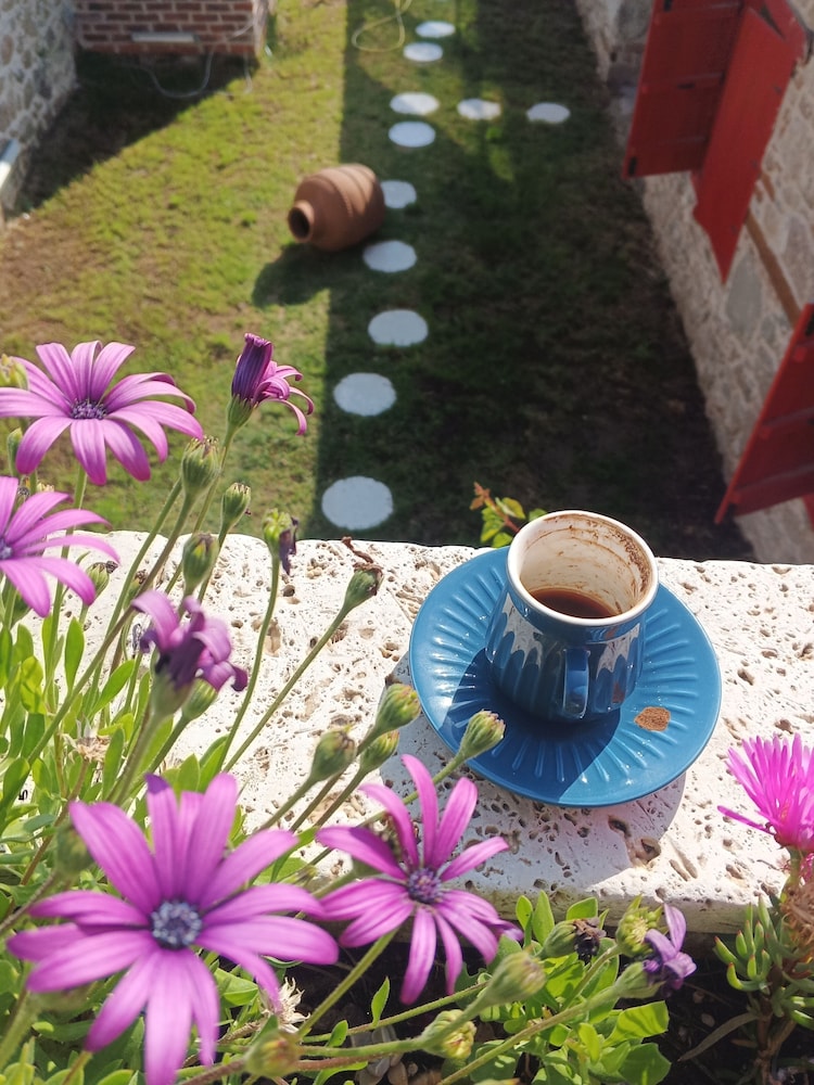 Bergama Tas Konak 40/50