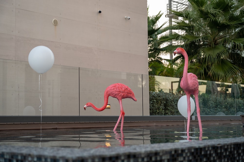 Mercure Larnaca Beach Resort 23/39