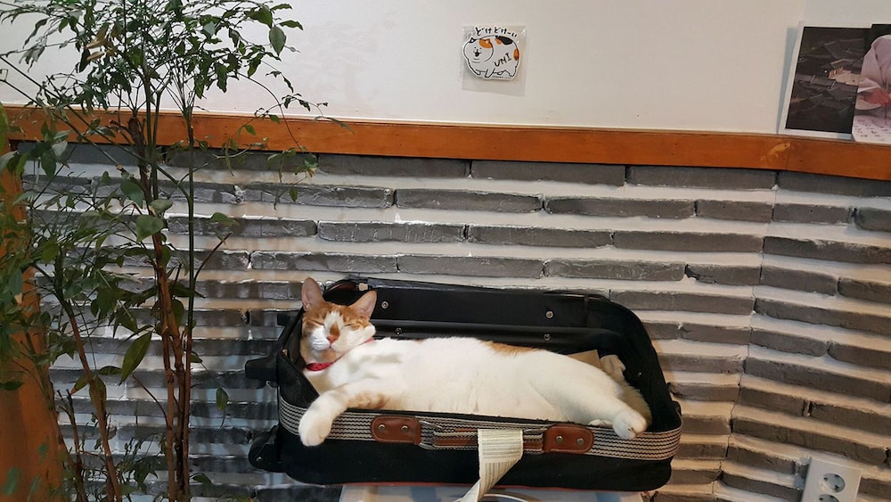 Insadong Hostel 50/72