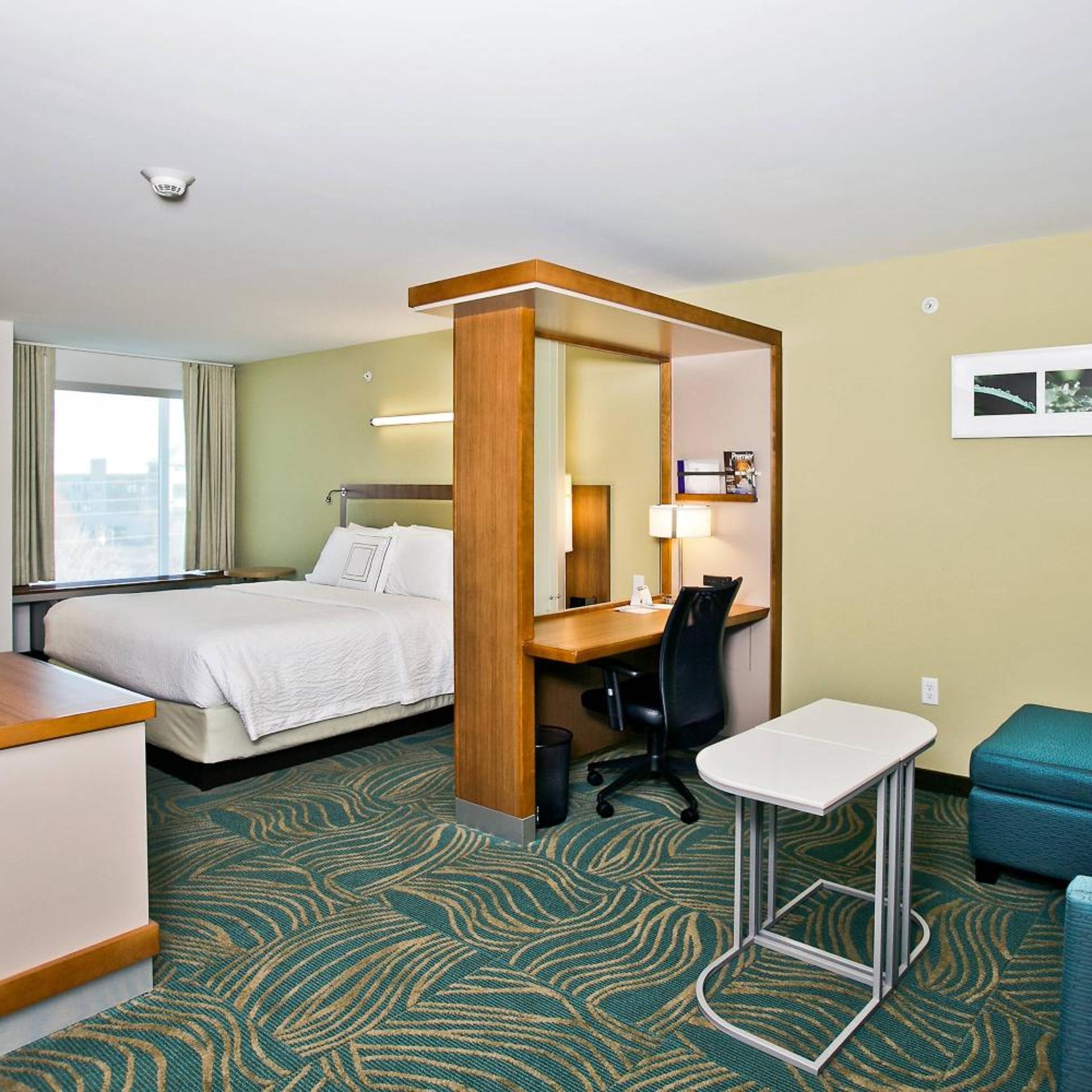 استوديو بسرير كينج، Springhill Suites Mobile 7/7