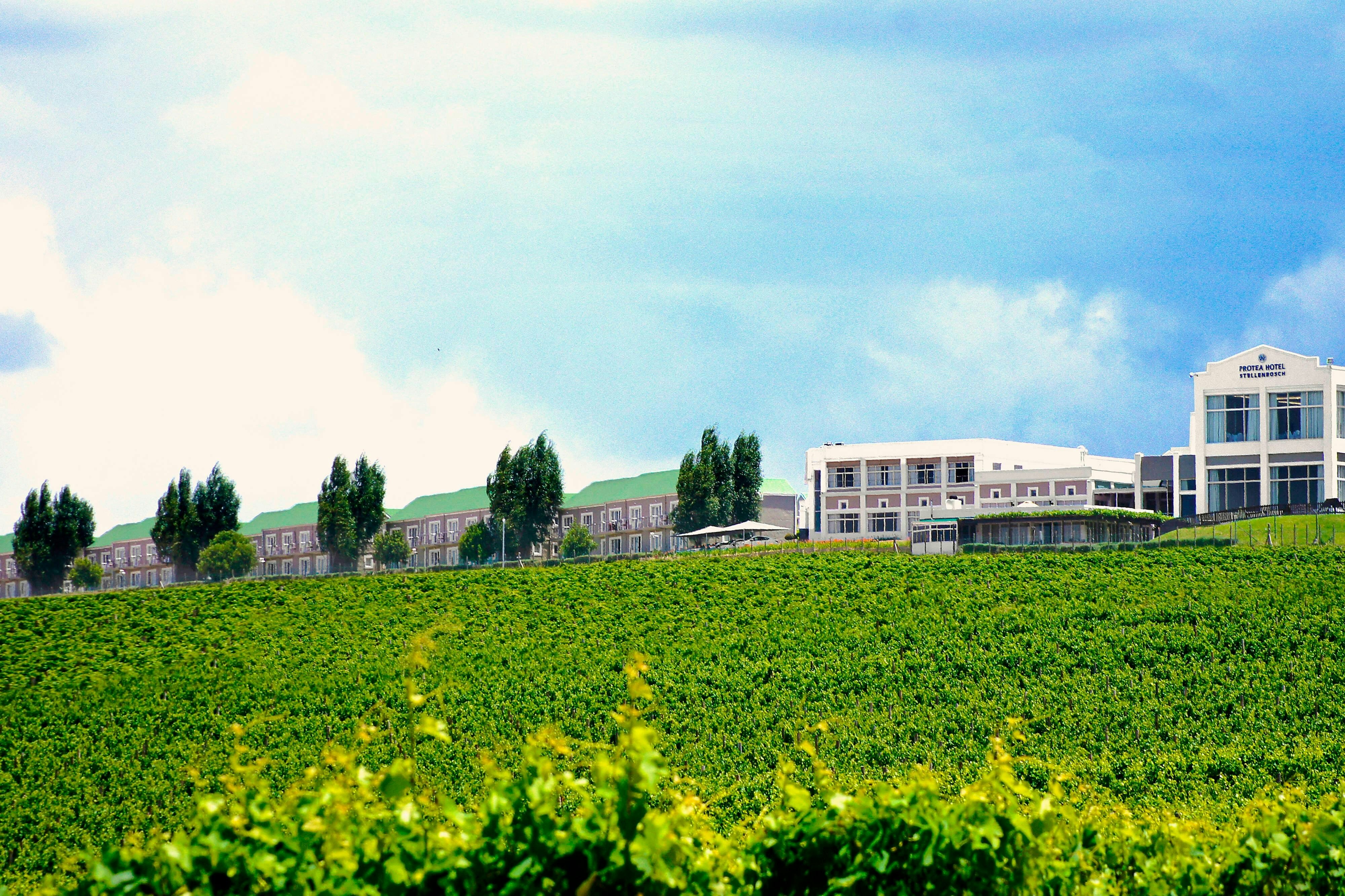 Protea Hotel Stellenbosch 27/31
