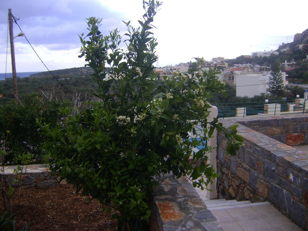 Kavousanos Apartments 43/50