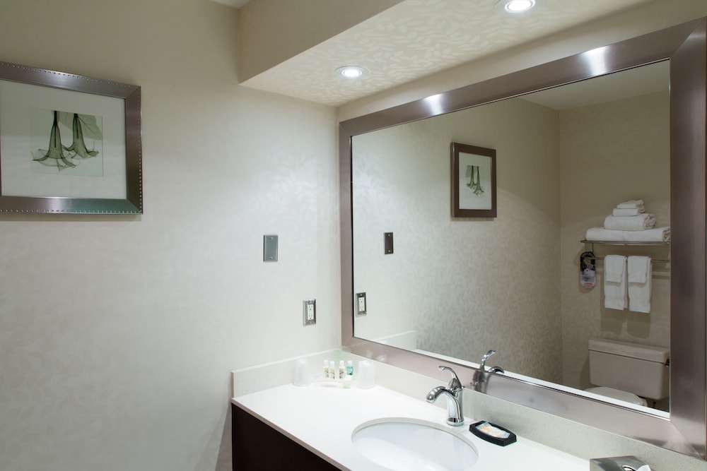 Holiday Inn Suites Windsor Ambassador Bridge 25/72