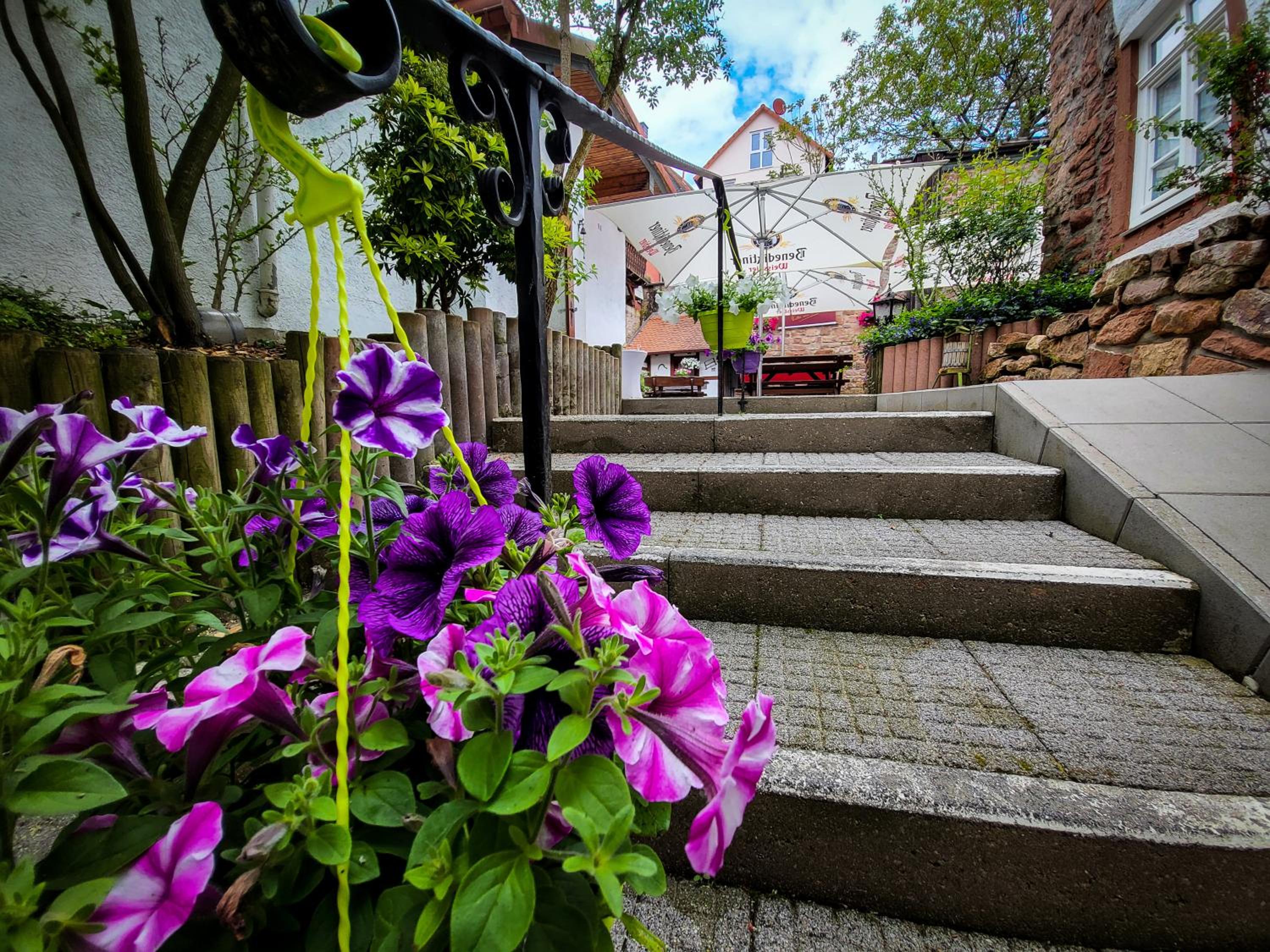Hotel Zum Lowen 47/50