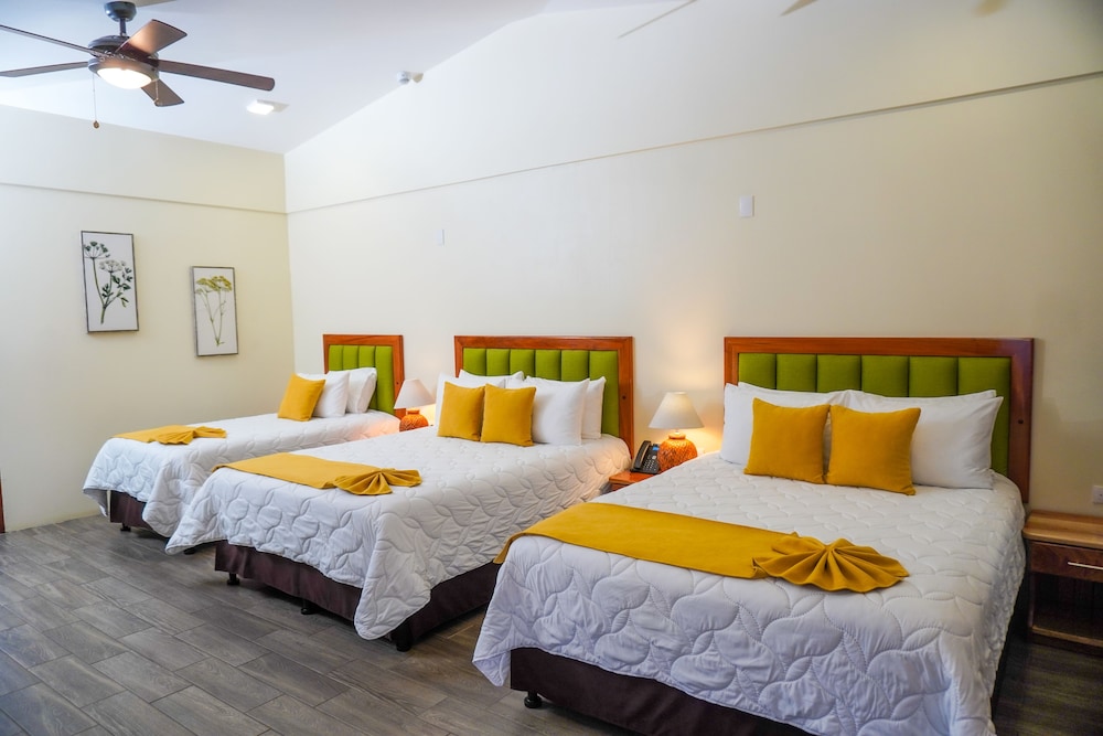 Monteverde Rustic Lodge 14/50