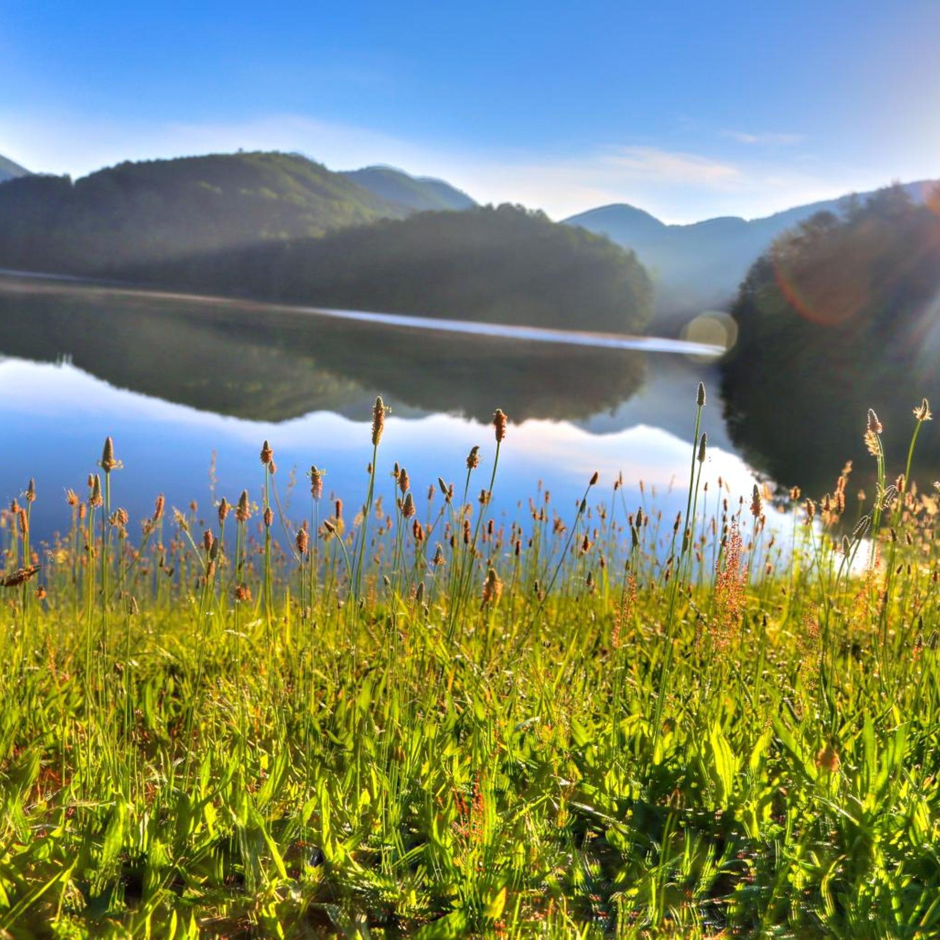 Unicoi State Park Lodge 26/31
