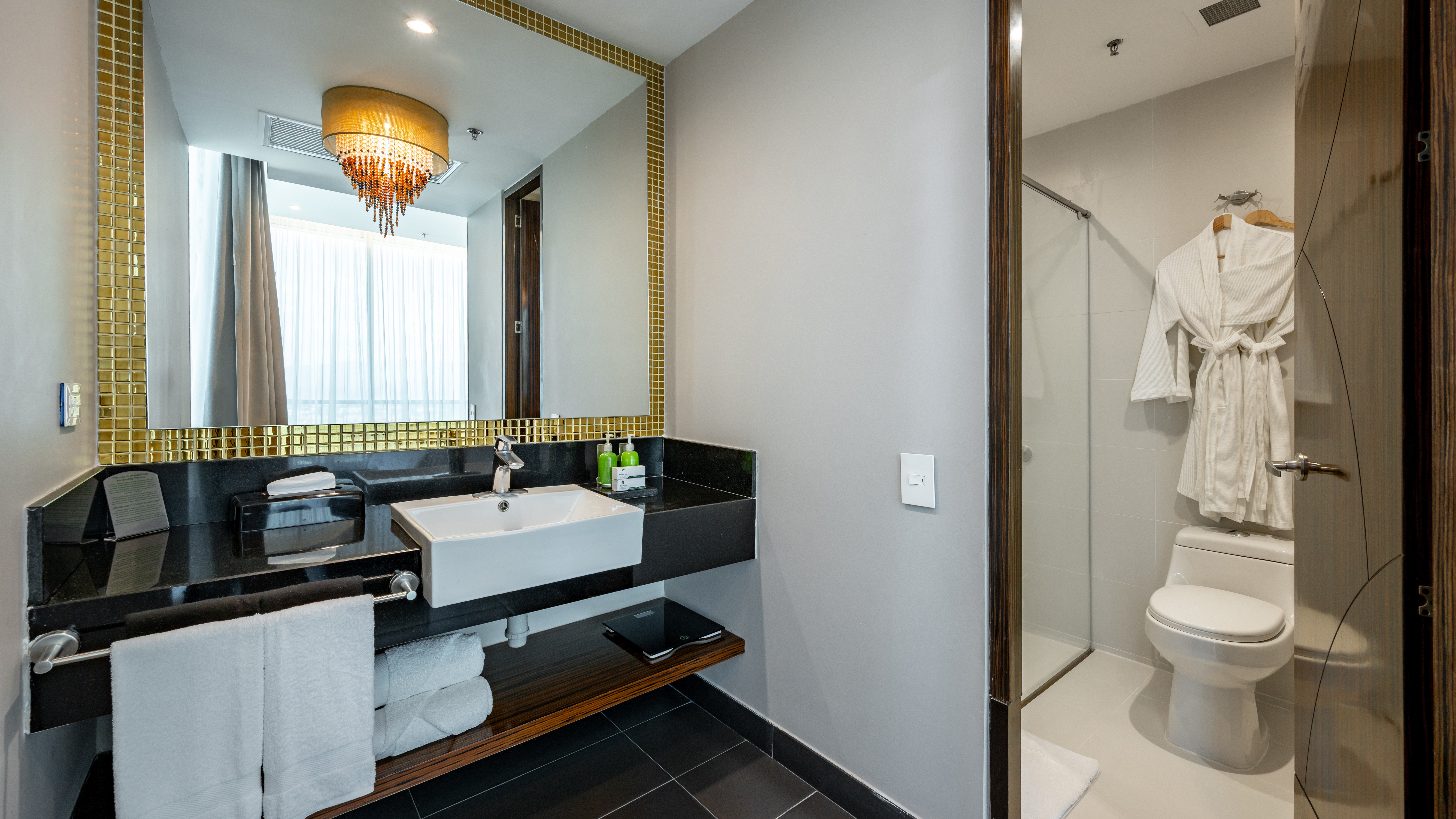 Holiday Inn Bucaramanga Cacique 73/74
