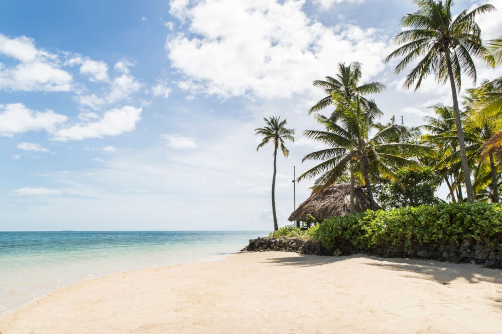 Nukubati Private Island Great Sea Reef - All Inclusive 48/62