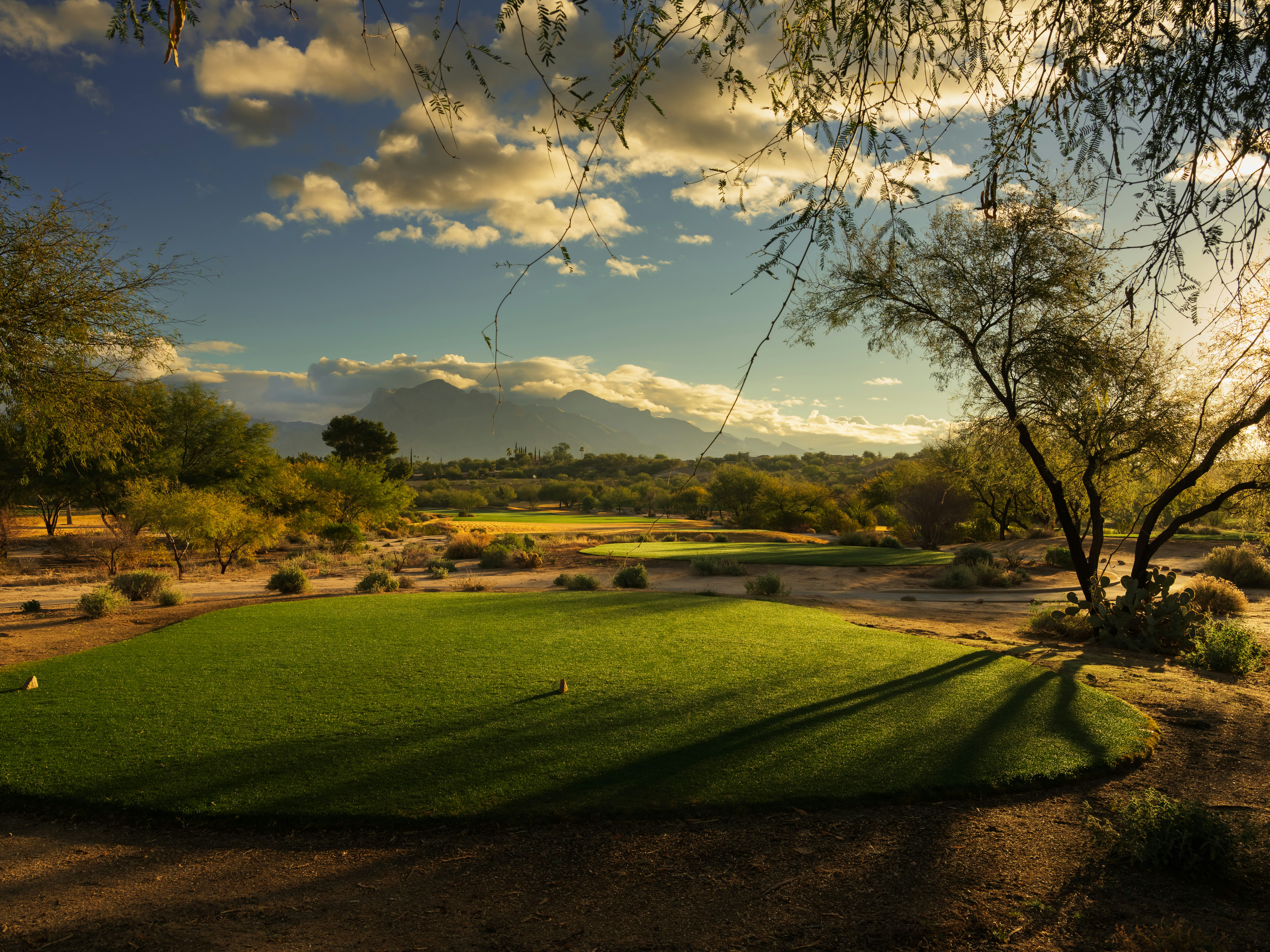 Omni Tucson National Resort 78/82