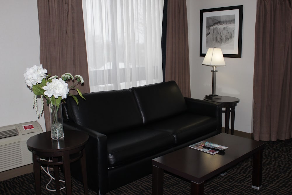 Ramada Plaza By Wyndham Niagara Falls 55/79