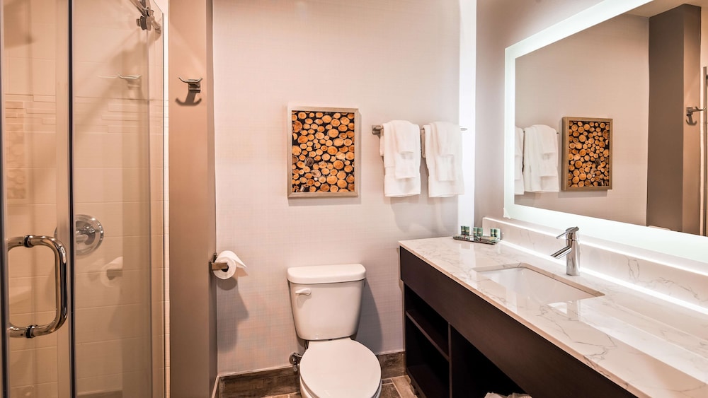 غرفة قياسية بسرير كينج بشرفة بإطلالة، Aiden by Best Western Warm Springs Hotel and Event Center 4/5