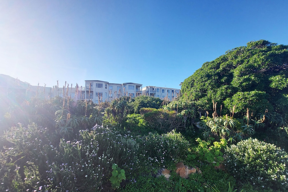Hermanus Beach Club 34/50