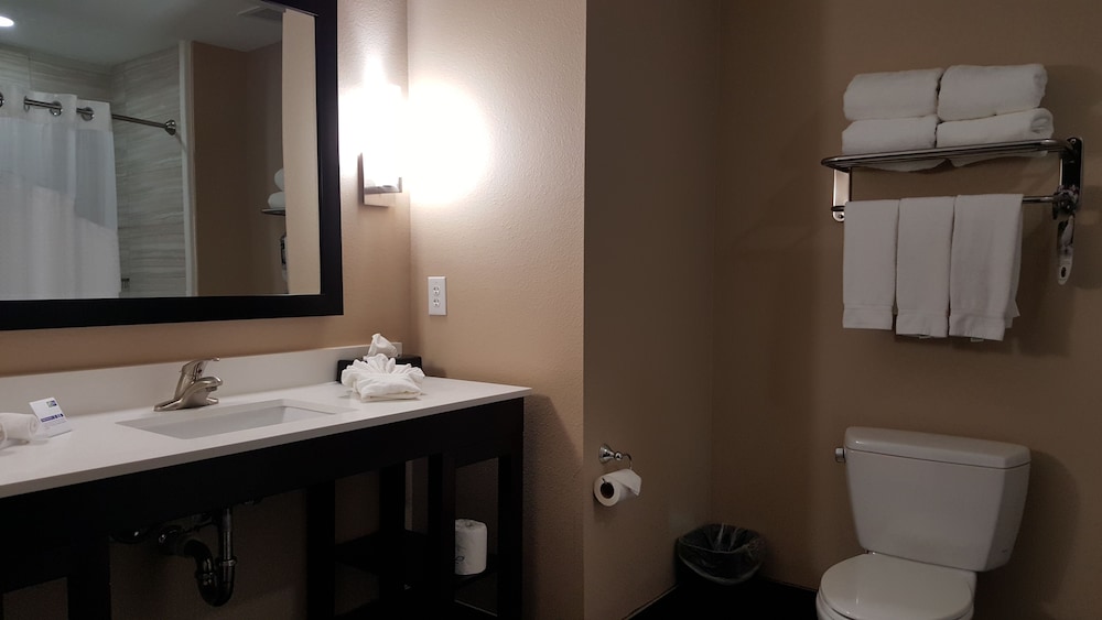 Holiday Inn Express & Suites Atascocita - Humble - Kingwood 28/66