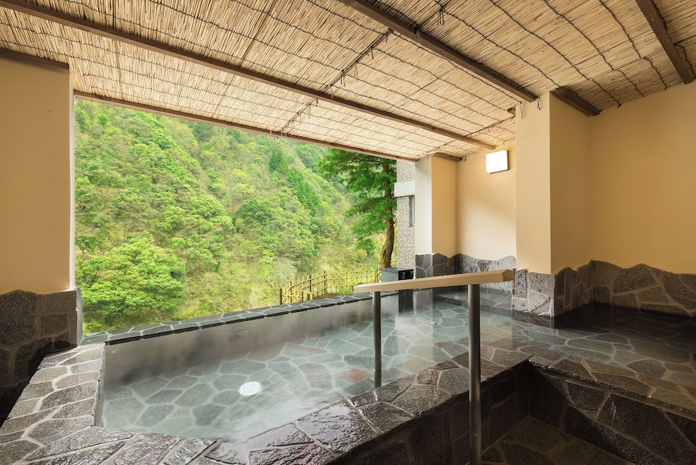 swimming pool spa