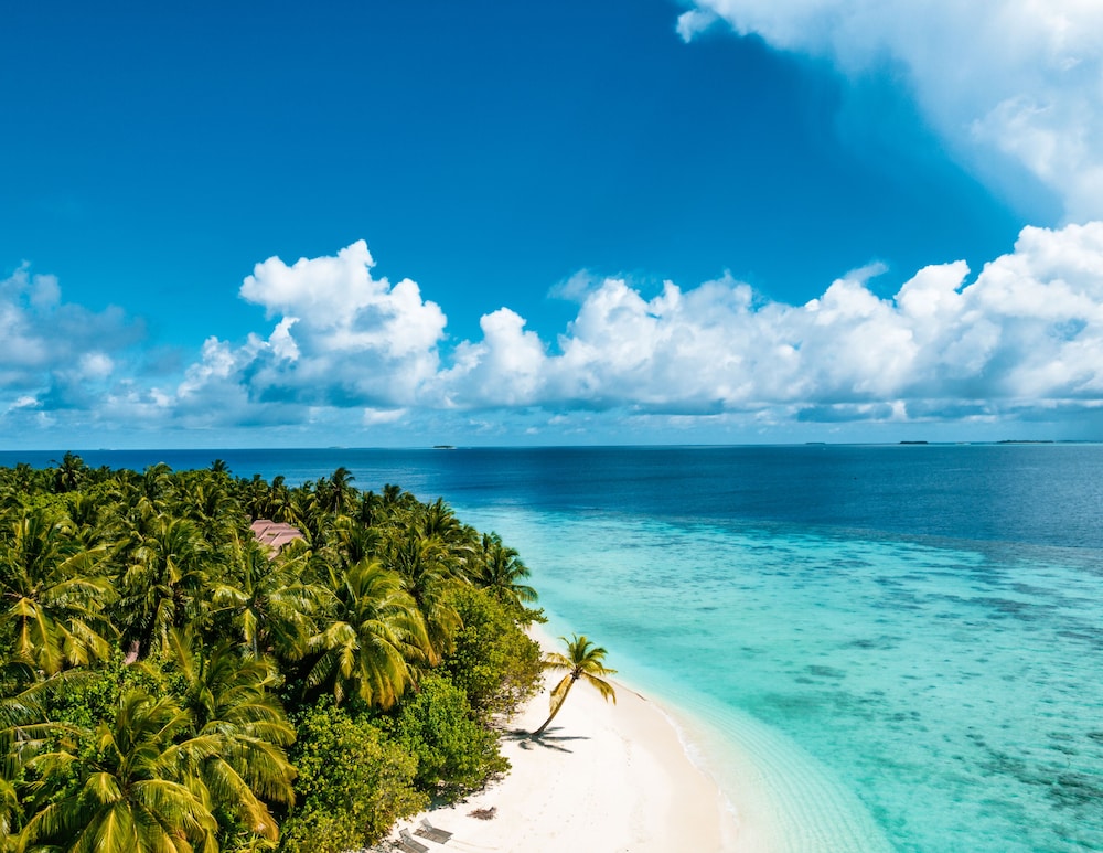 Avani+ Fares Maldives Resort 159/164
