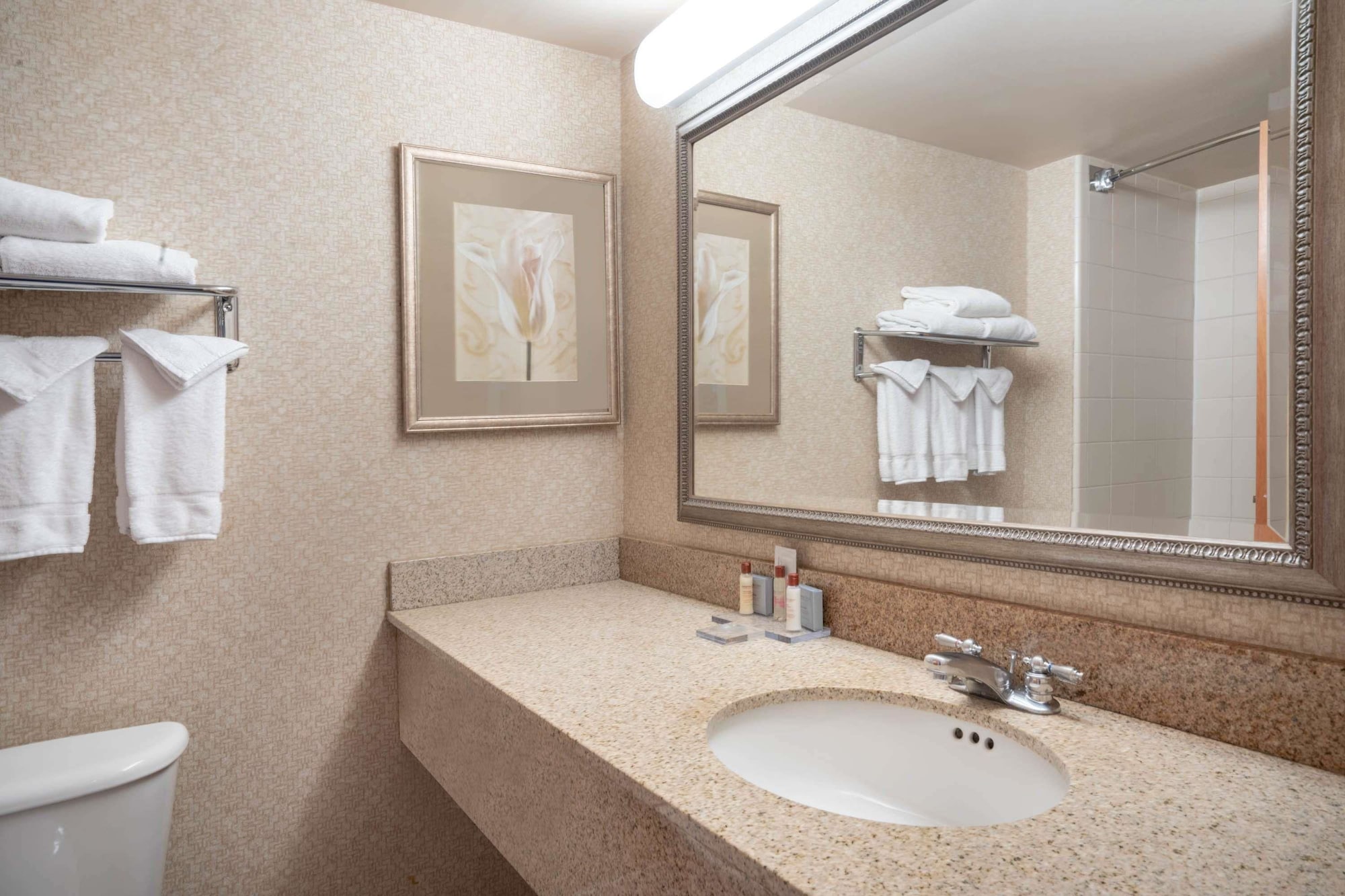 غرفة كبيرة بسرير كينج، Wingate By Wyndham Charlotte Airport 3/6