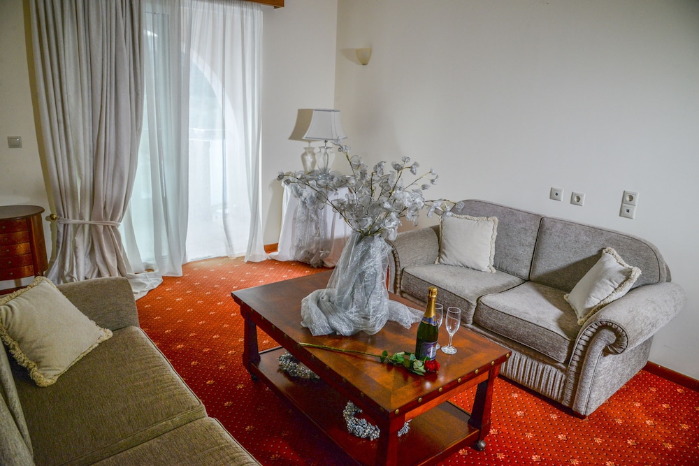 Arta Palace Hotel 34/52