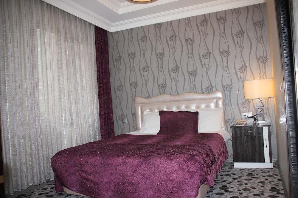 Ankara Risiss Hotel 44/74