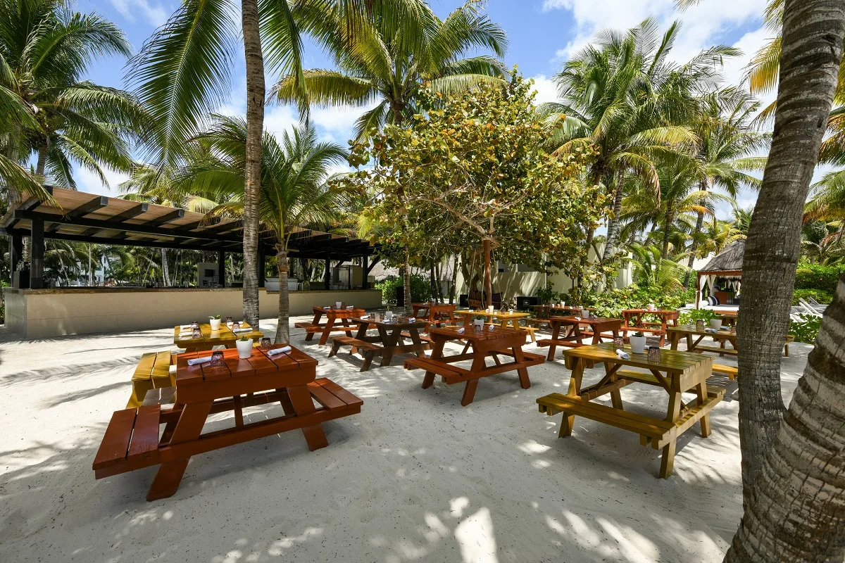 El Dorado Royale, Catamaran, Cenote, All & More Inclusive Adults Only 39/43