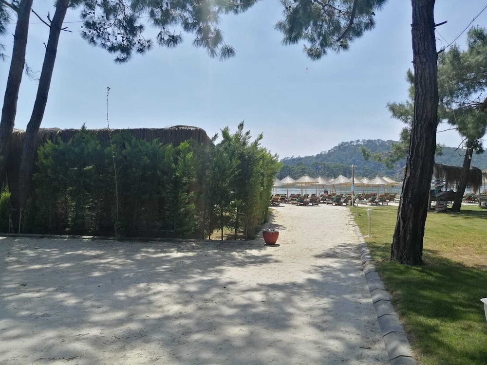 Green Pine Beach & Bungalows Luxury Concept 39/50