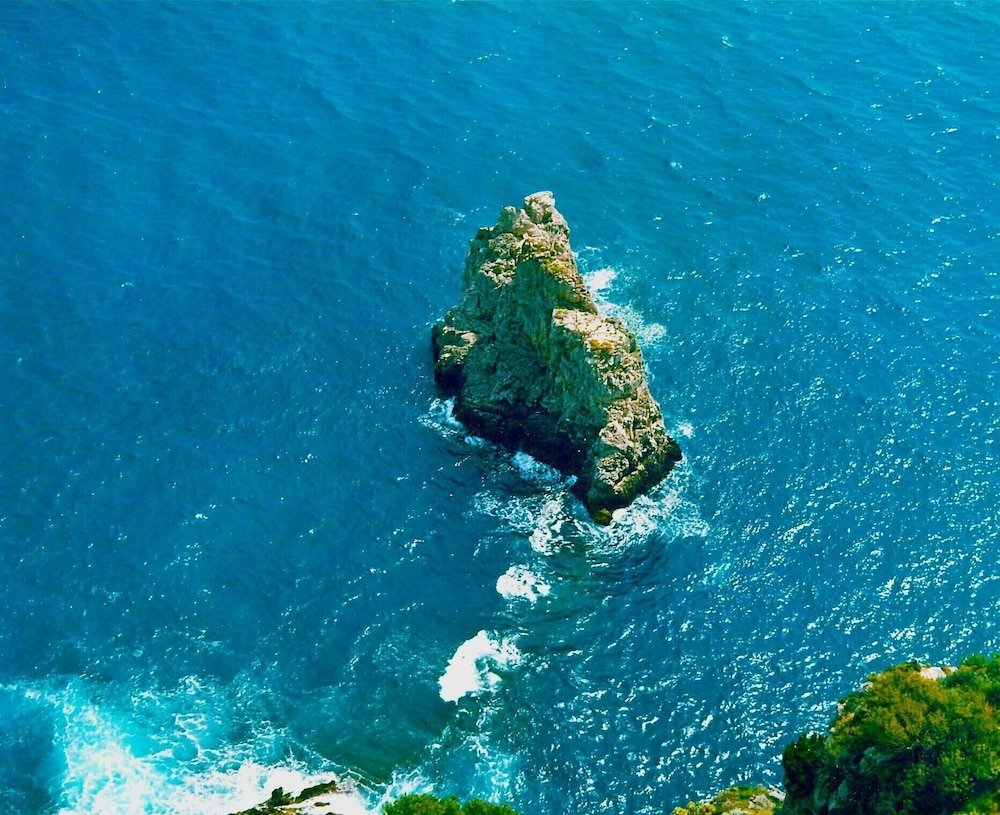 Albadamare 38/50