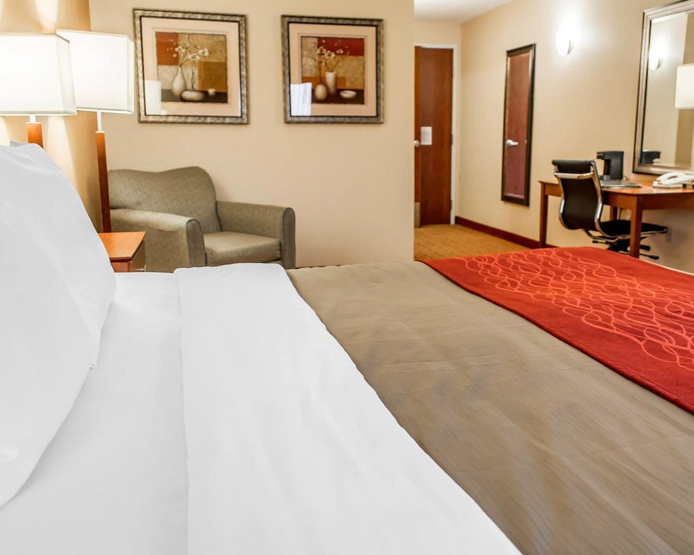Comfort Inn & Suites Franklin East 19/47