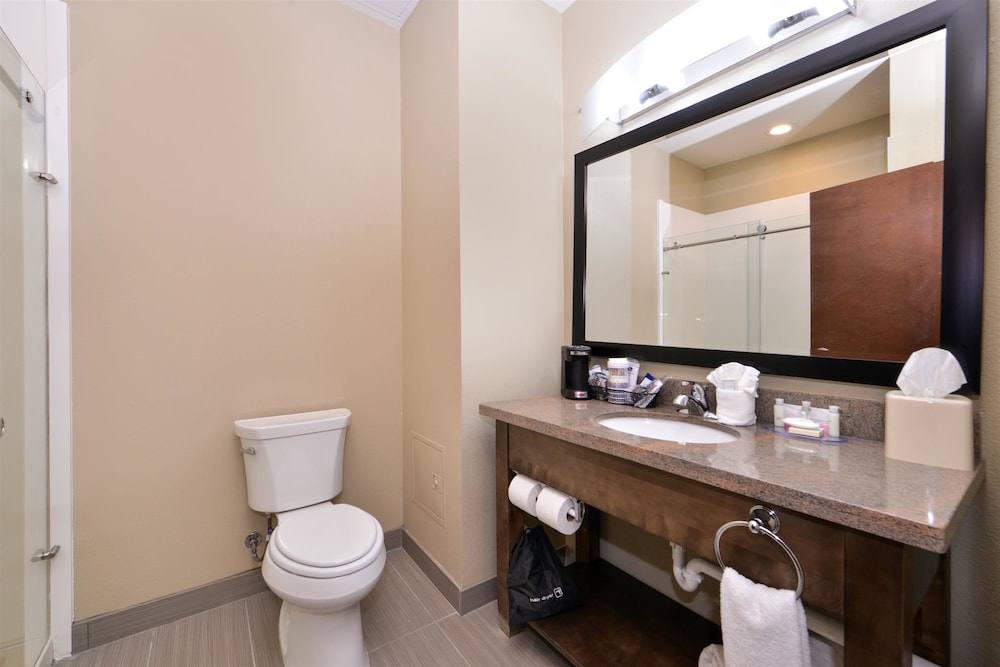 Best Western Plus Fort Stockton Hotel 20/35