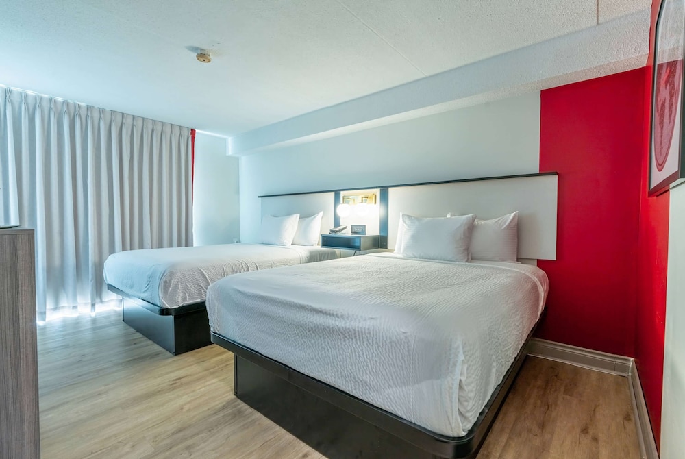 ROOM, 2 QUEEN BEDS, GROUND FLOOR