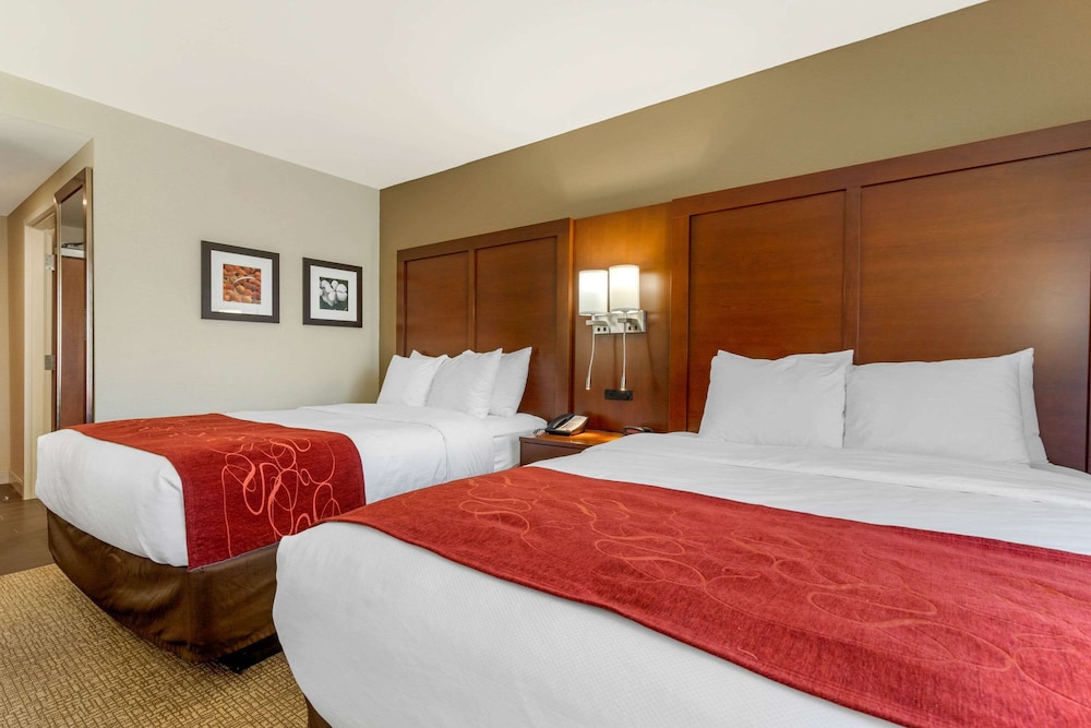 Comfort Inn & Suites Macon West 16/41