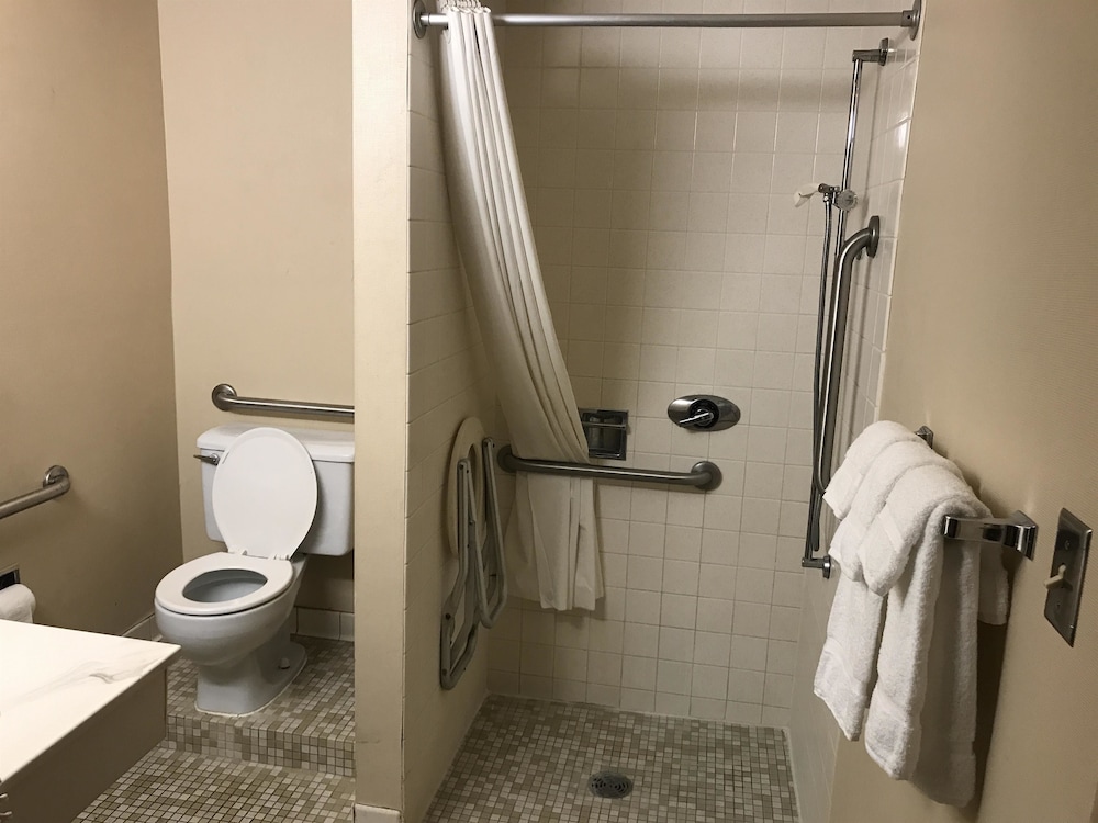 غرفة بسرير كوين لذوي الإعاقة، Albert Lea Inn & Suites 7/7