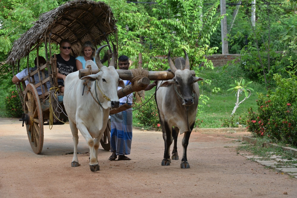 Pinthaliya Resort & Spa 34/50