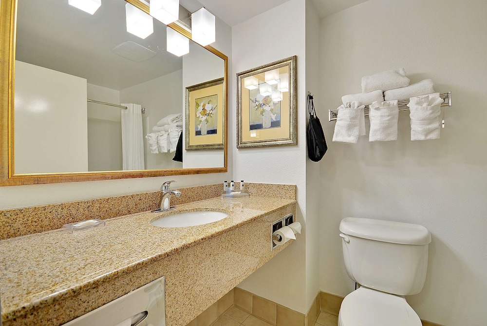 Country Inn Suites By Radisson Charleston North Sc 19/49